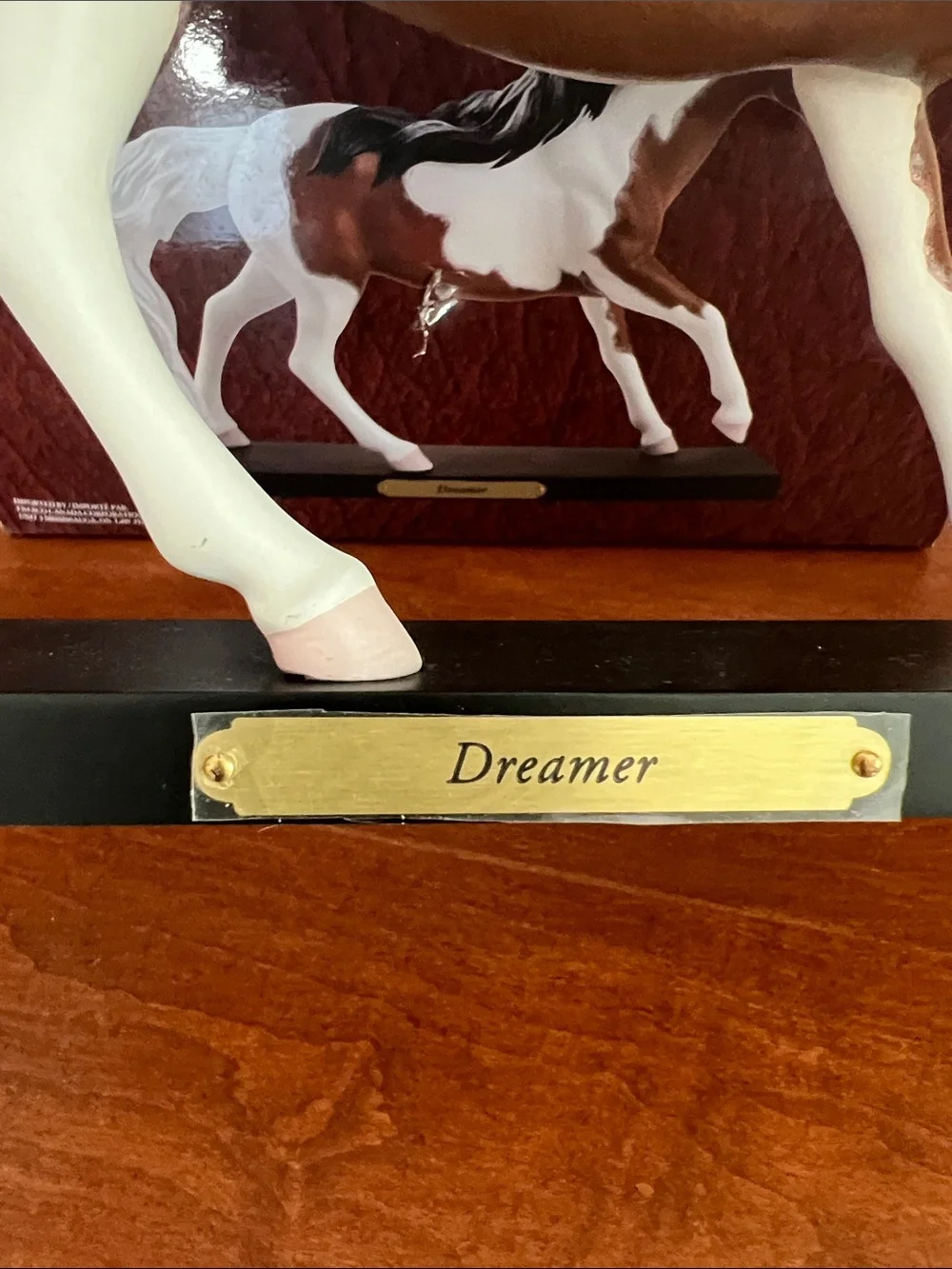 The Trail of Painted Ponies Dreamer
